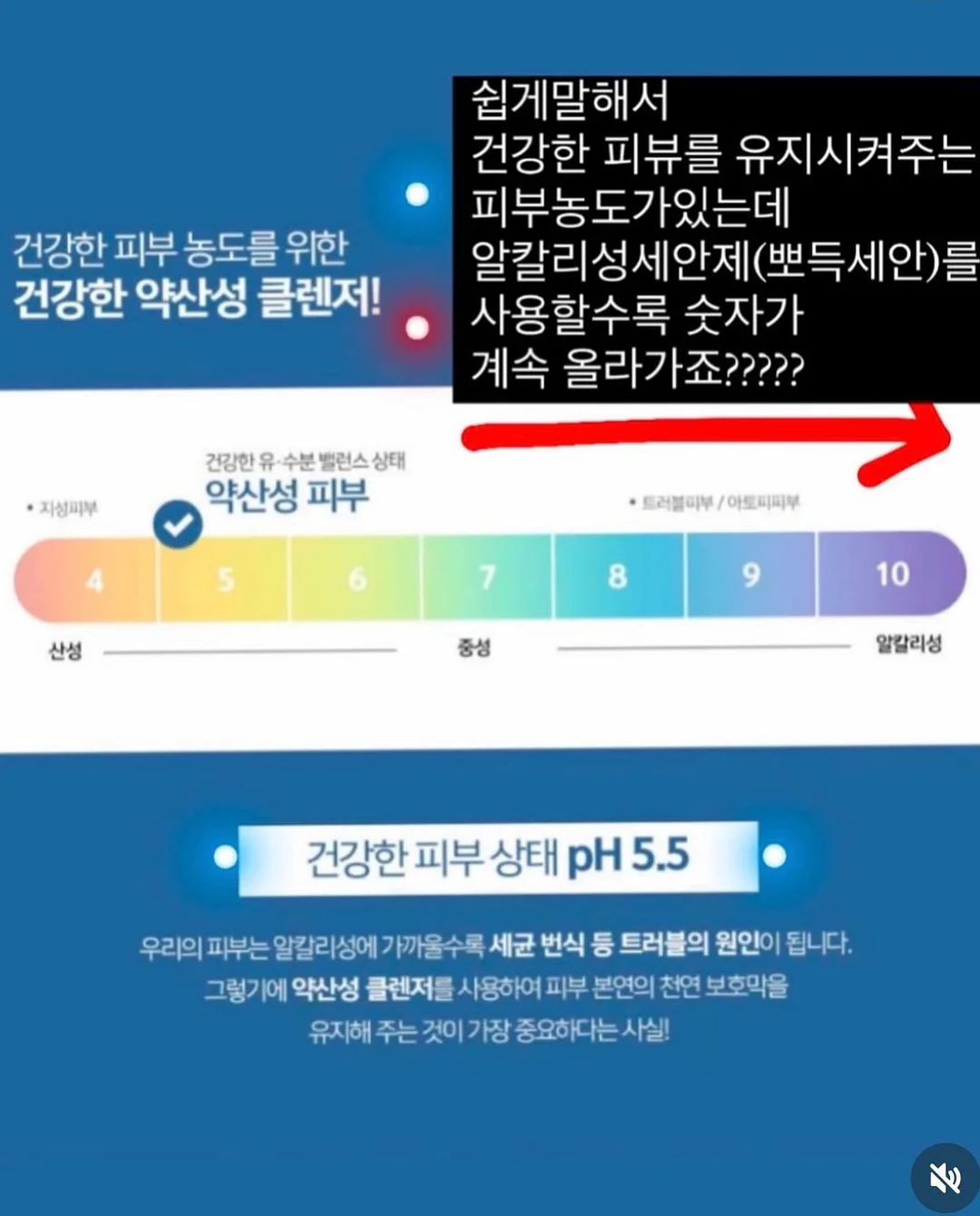 상하치즈 프로틴치즈 스트링 5