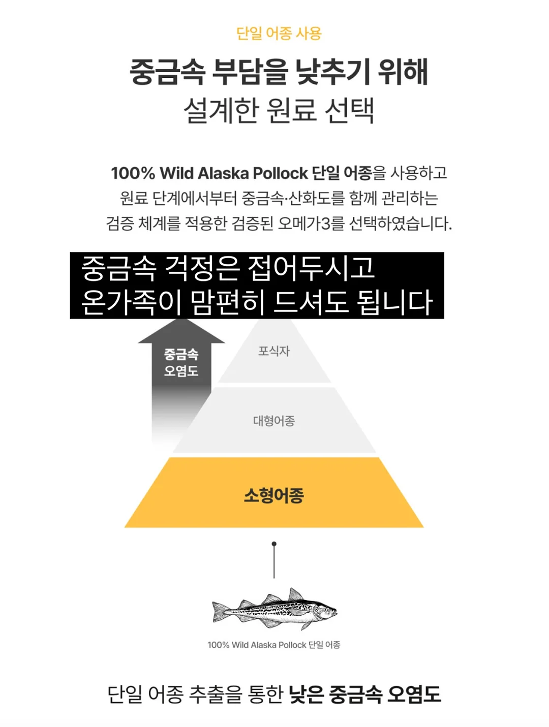 방송전문가과정 5