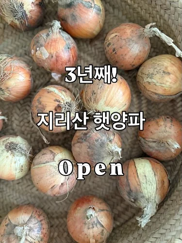 2026년 7월 용띠운세 1