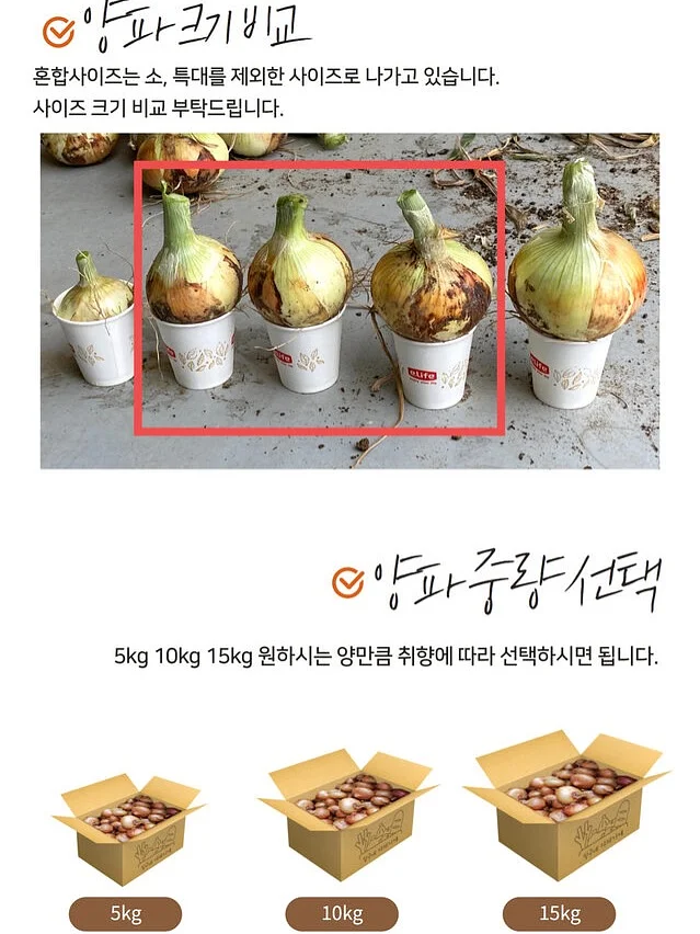 2026년 7월 용띠운세 4