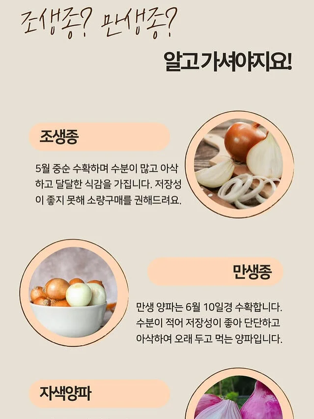 2026년 7월 용띠운세 5