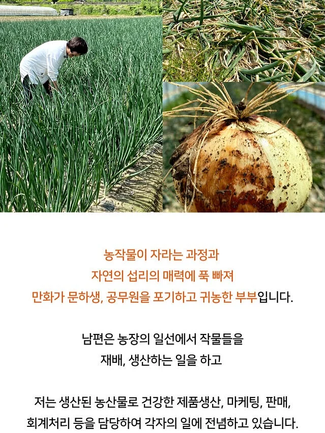 2026년 7월 용띠운세 6