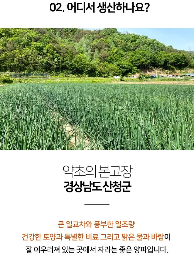 2026년 7월 용띠운세 7