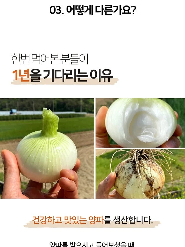2026년 7월 용띠운세 8