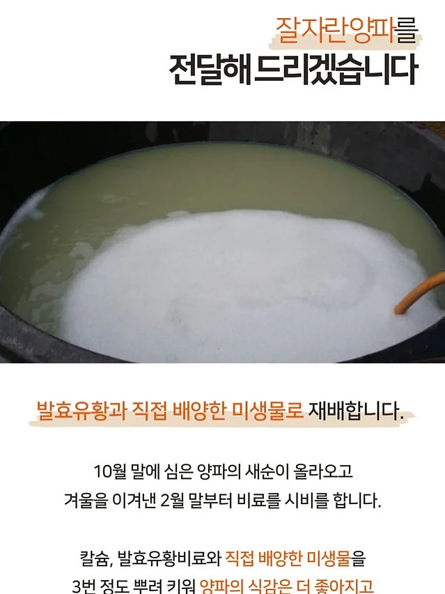 2026년 7월 용띠운세 9