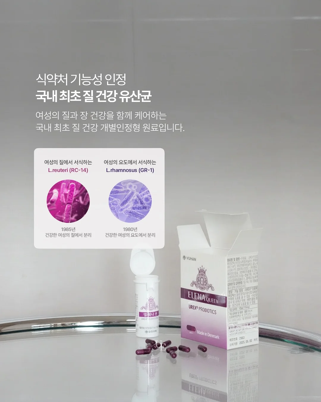 루티너 2