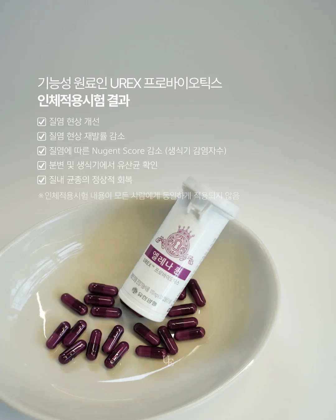 루티너 3