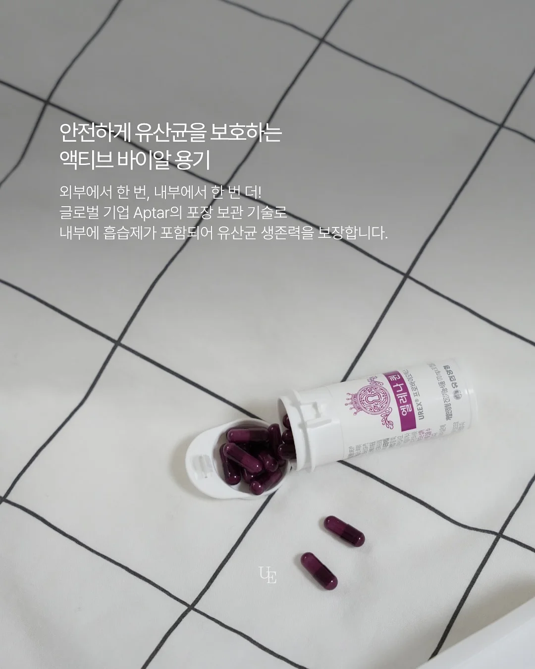 루티너 6