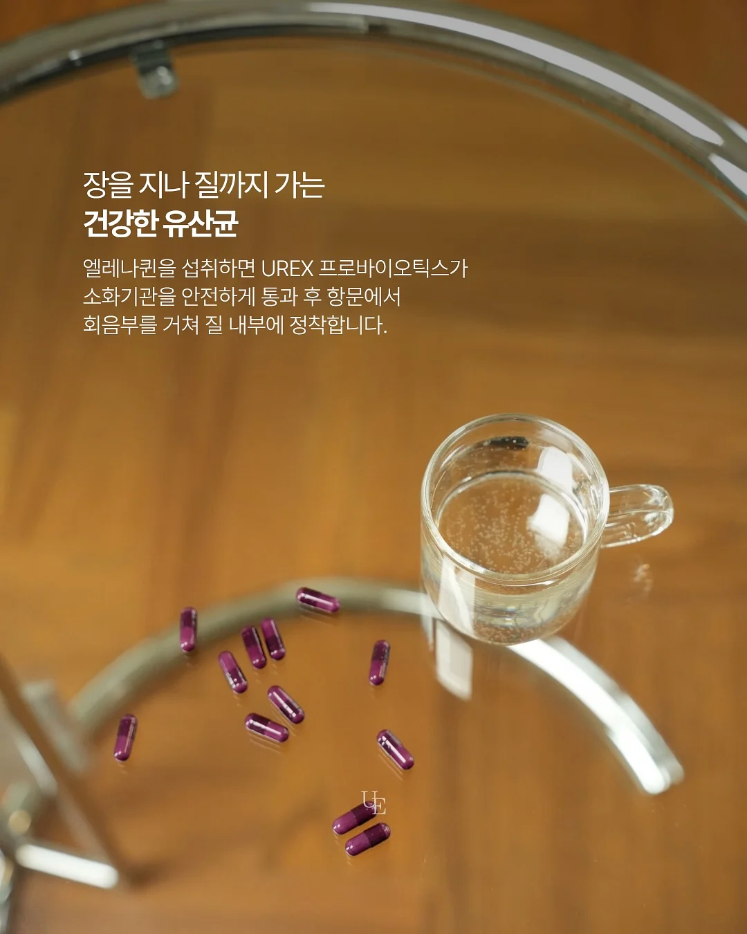 루티너 7