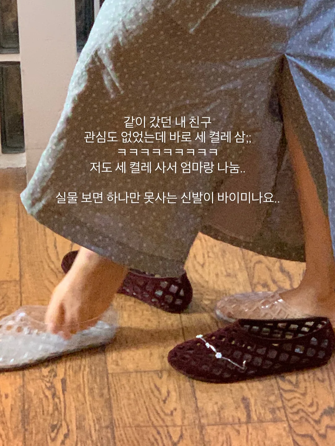 초코나무숲 set 5pcs 4