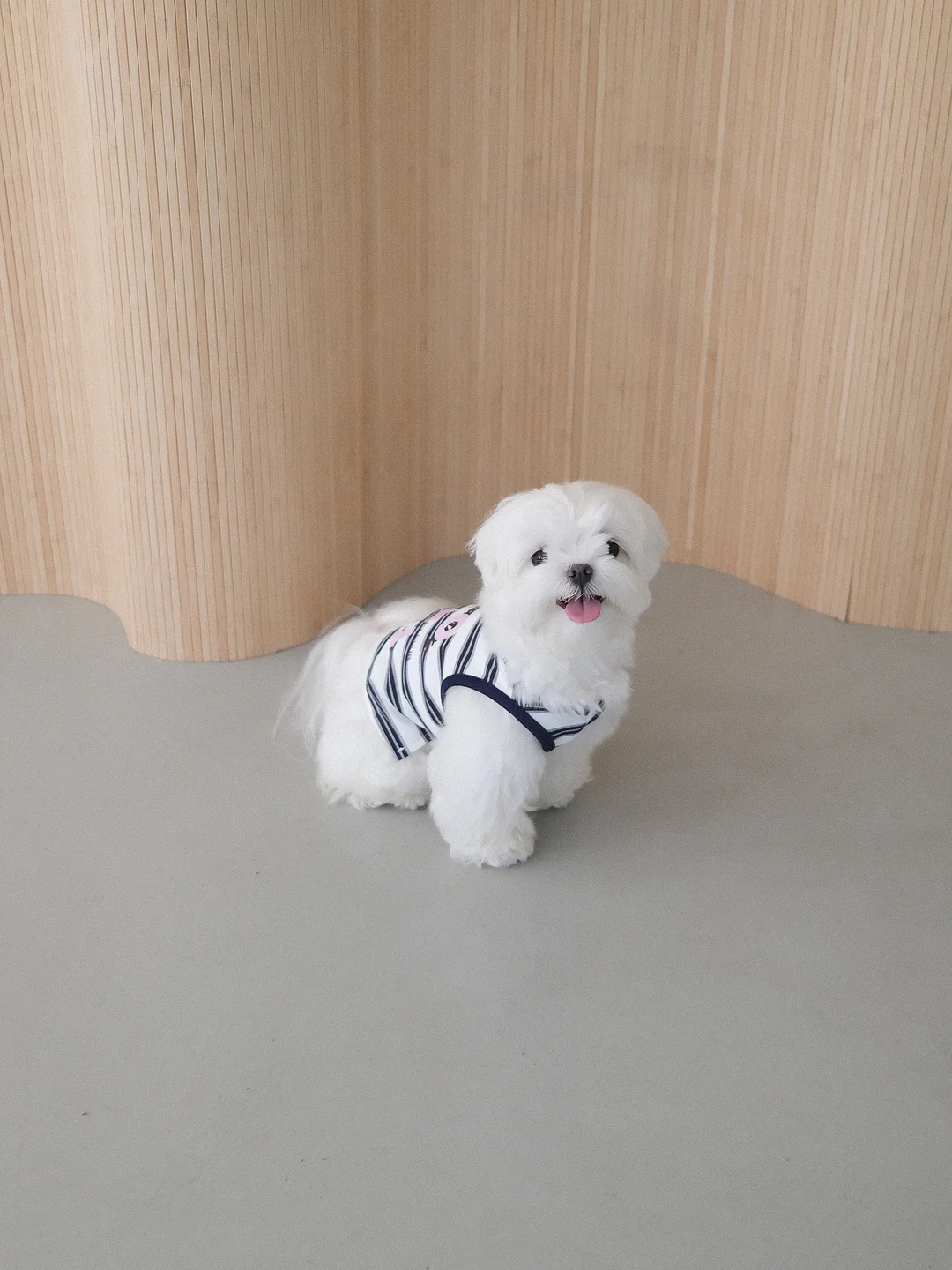 아이엔지 킨포시리즈 수납장 1