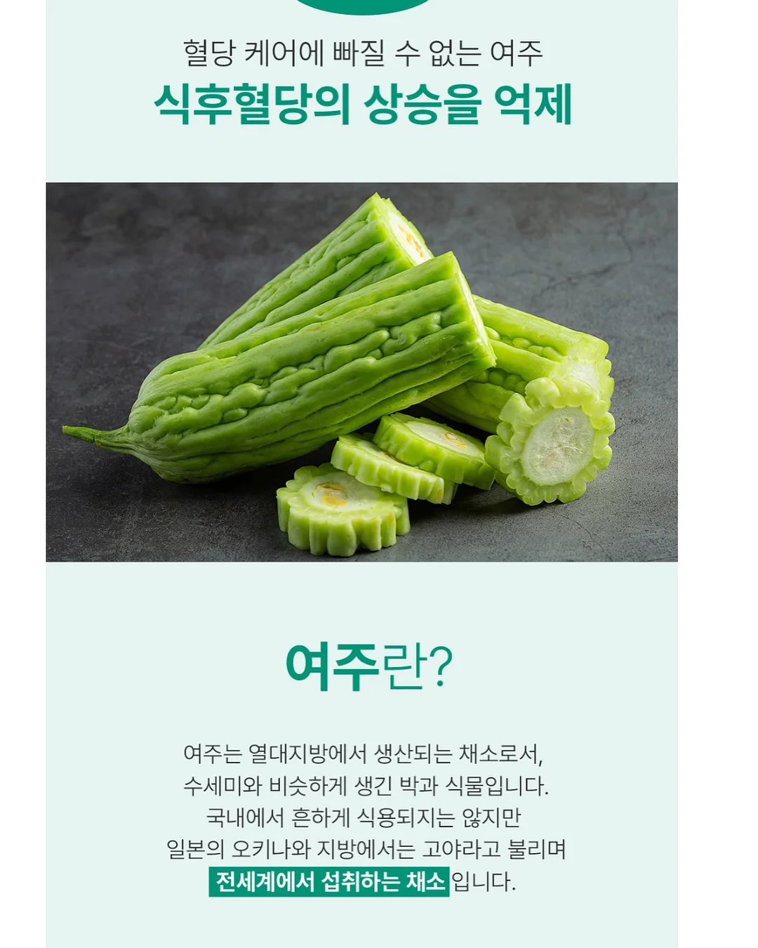 말센스 5