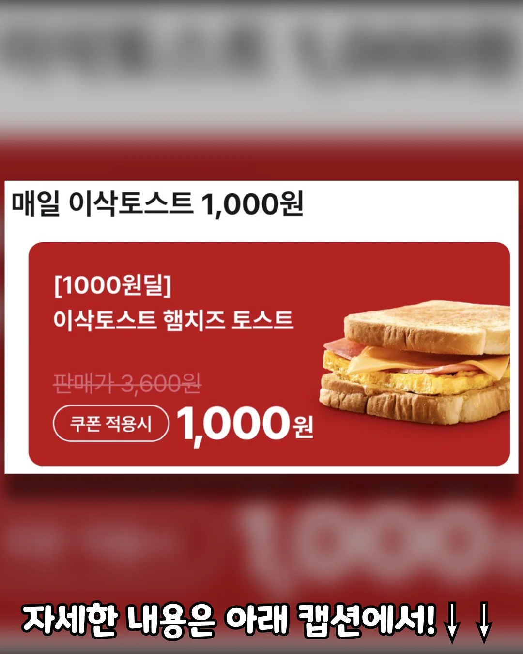 궁서채 2