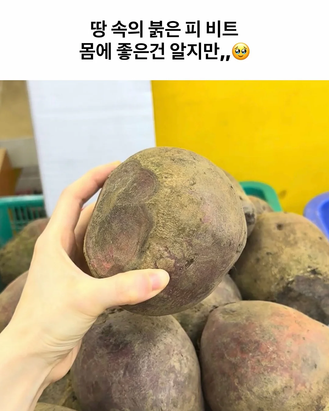 신비복숭아 2