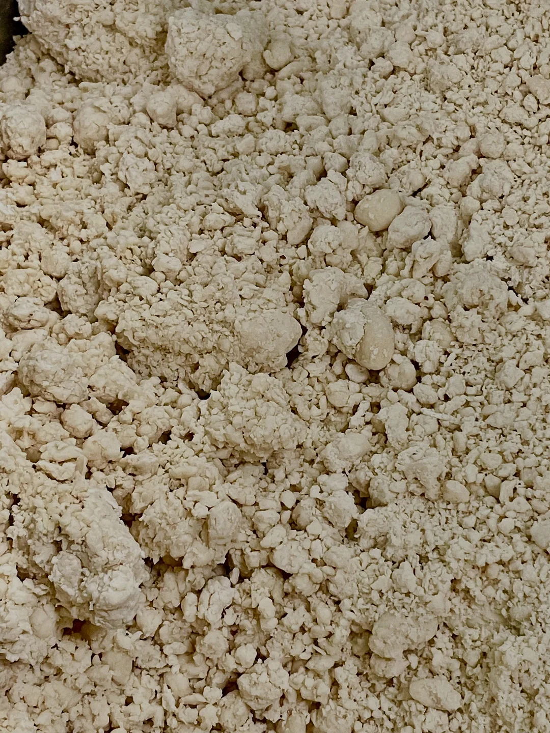 리바이탈래쉬 5