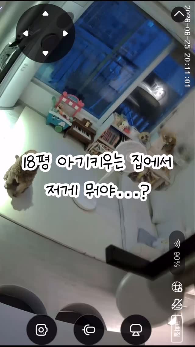 파운데이션 브러쉬