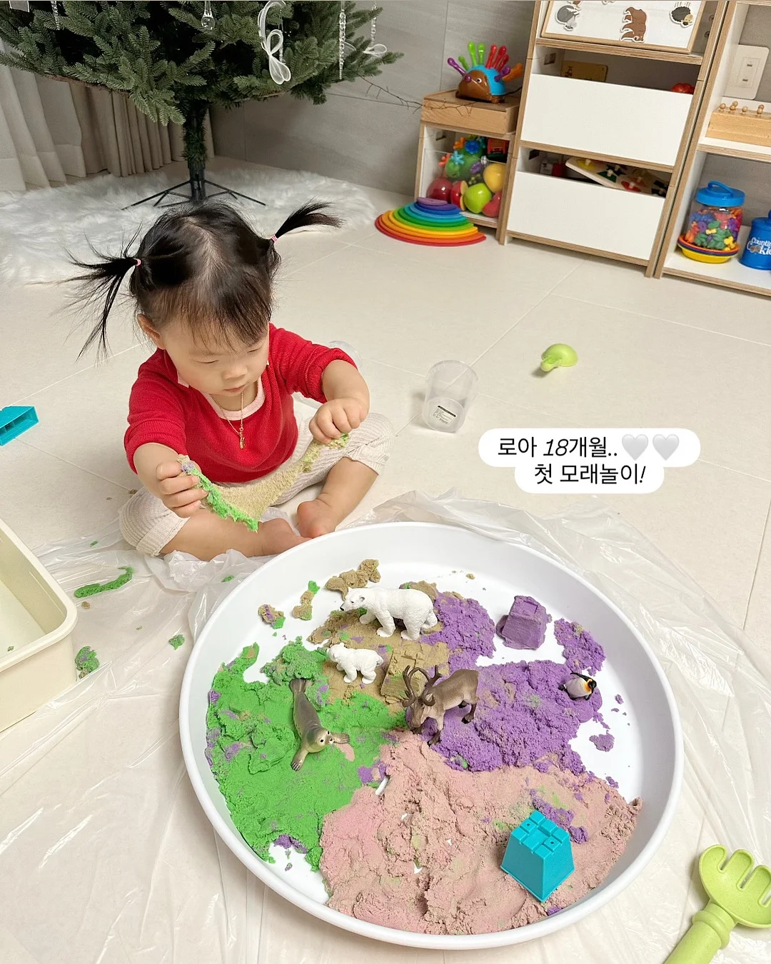 워터밤 물놀이 필수템 5