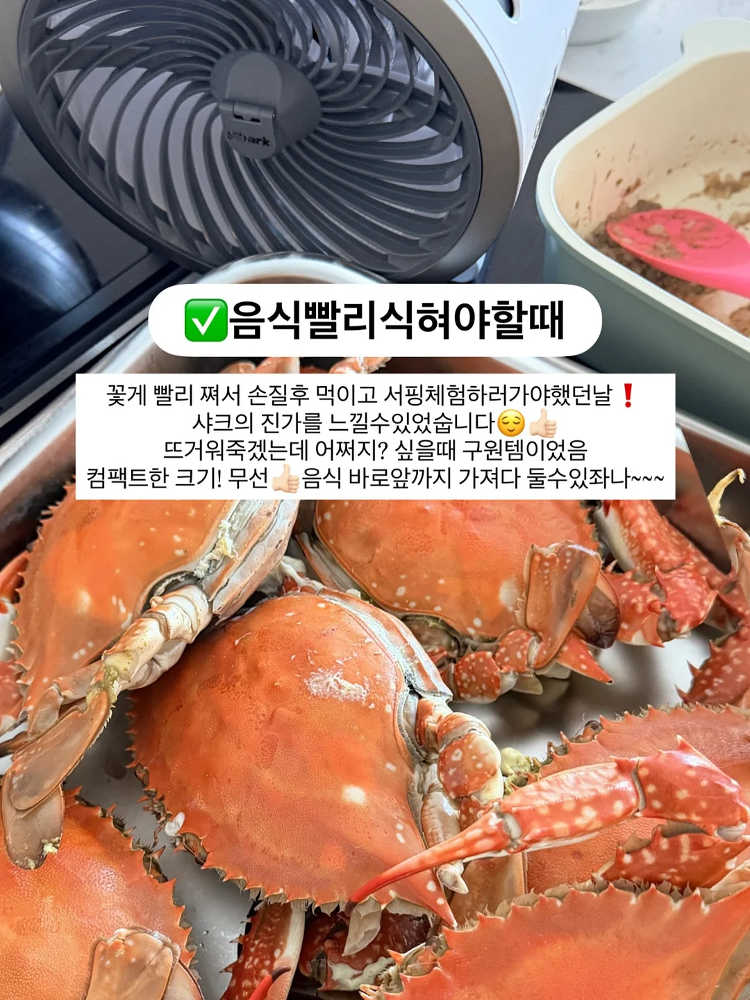 c레이어드보카시니트 17