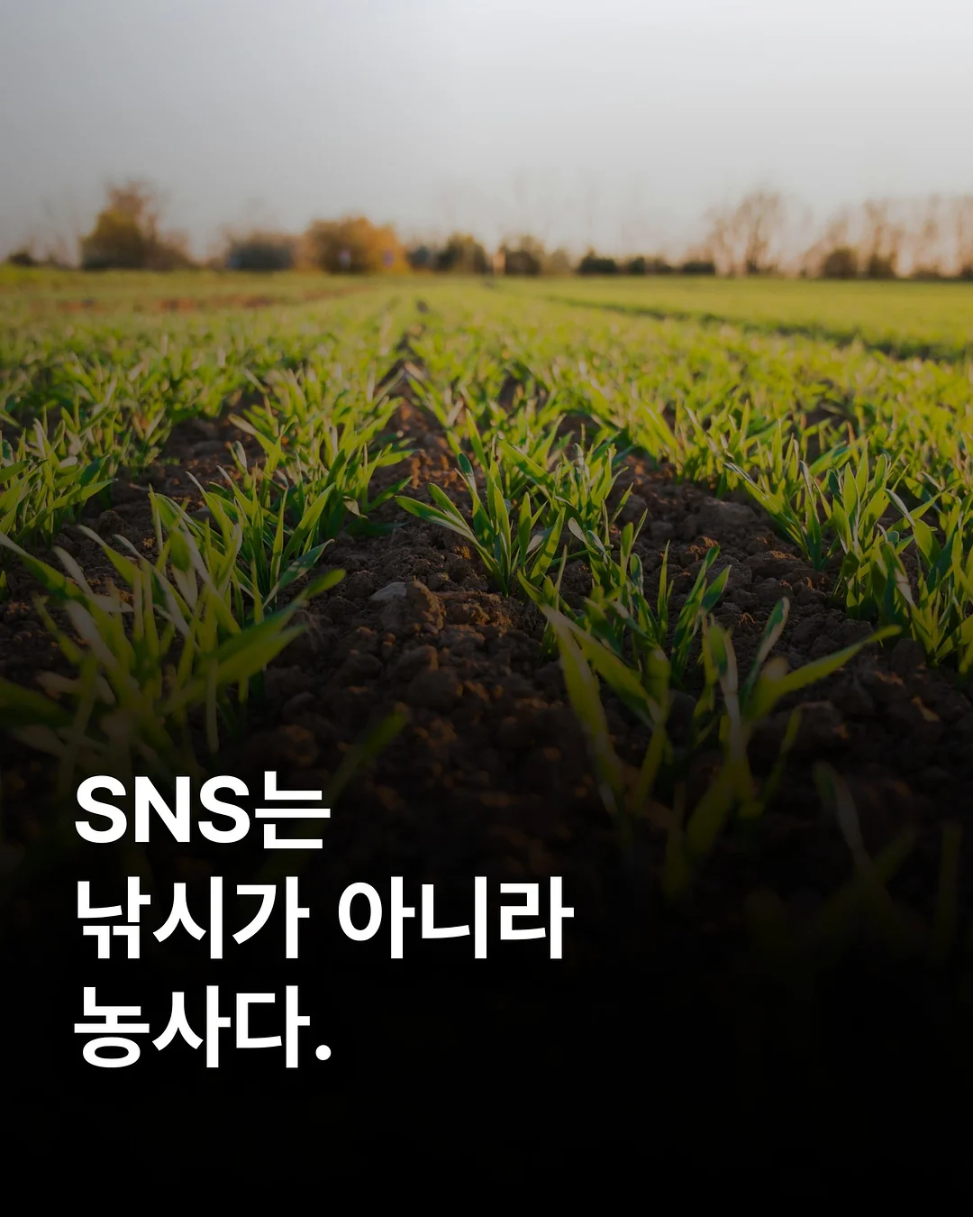골드바케이크 1