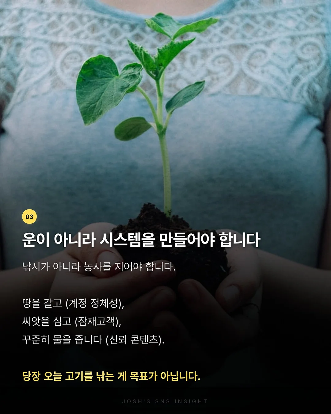 골드바케이크 4