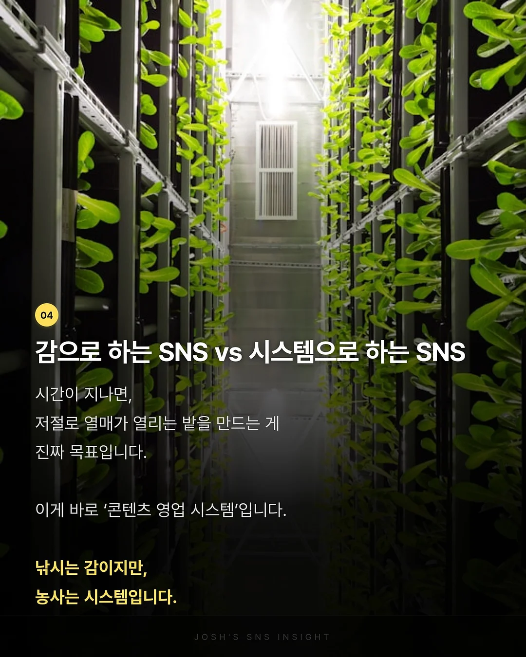 골드바케이크 5