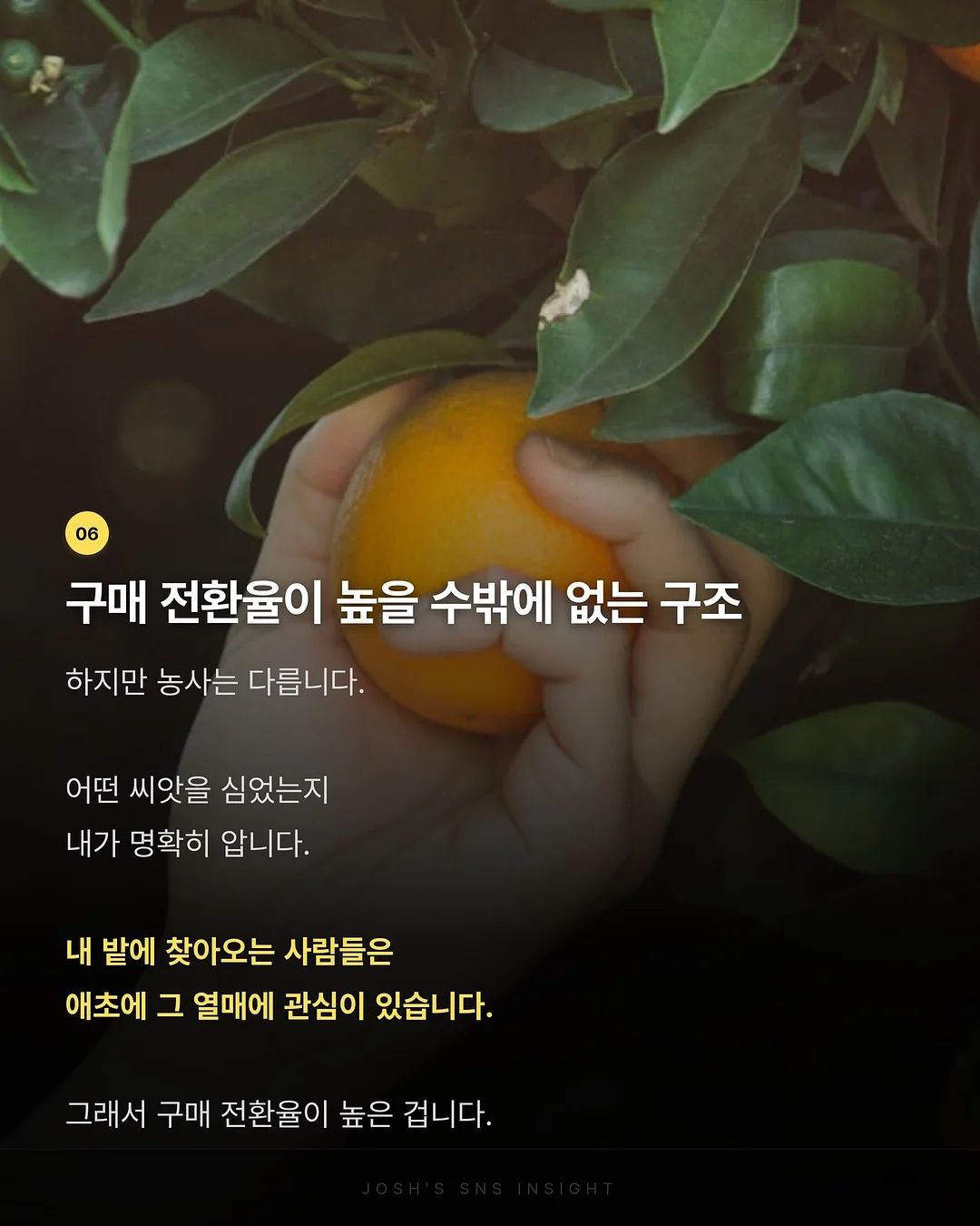 골드바케이크 7