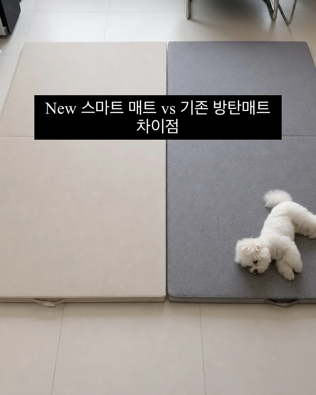 아로에 홈웨어 1