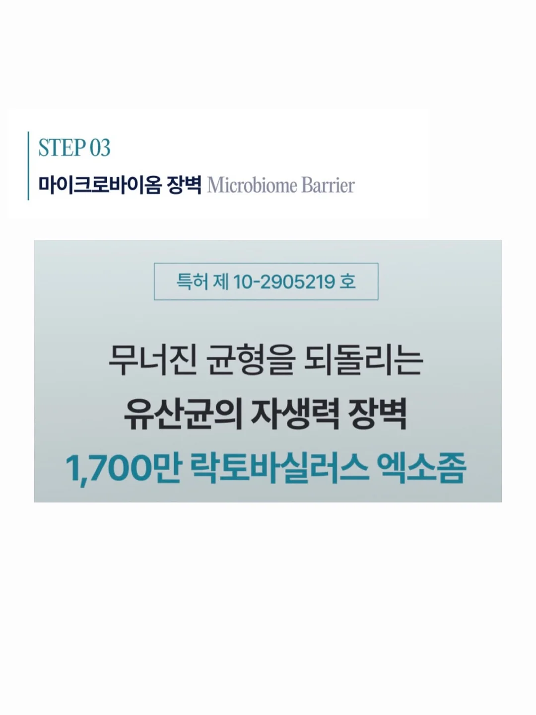 결항아리 화병꽂이 11