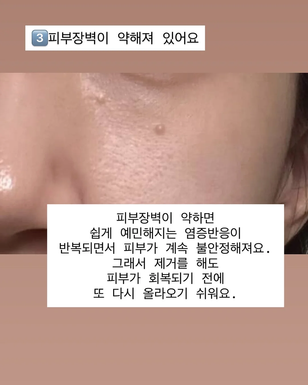 엘레나하임 커스터마이징 100수 침구 5