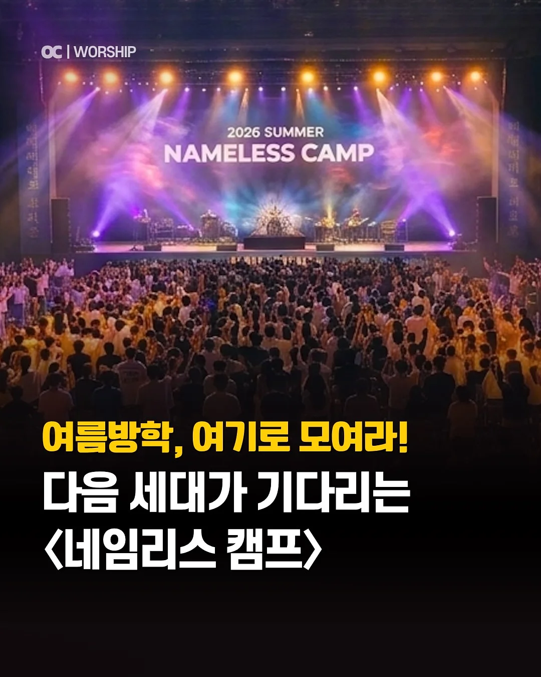 치즈 임시보호/입양 1
