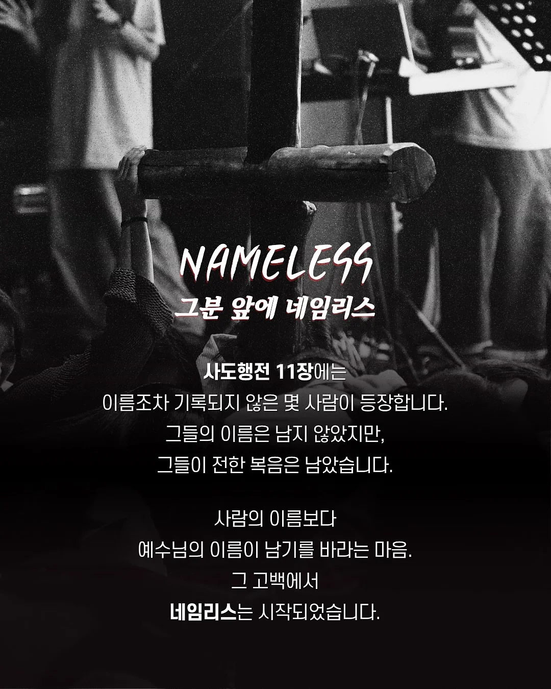 치즈 임시보호/입양 2
