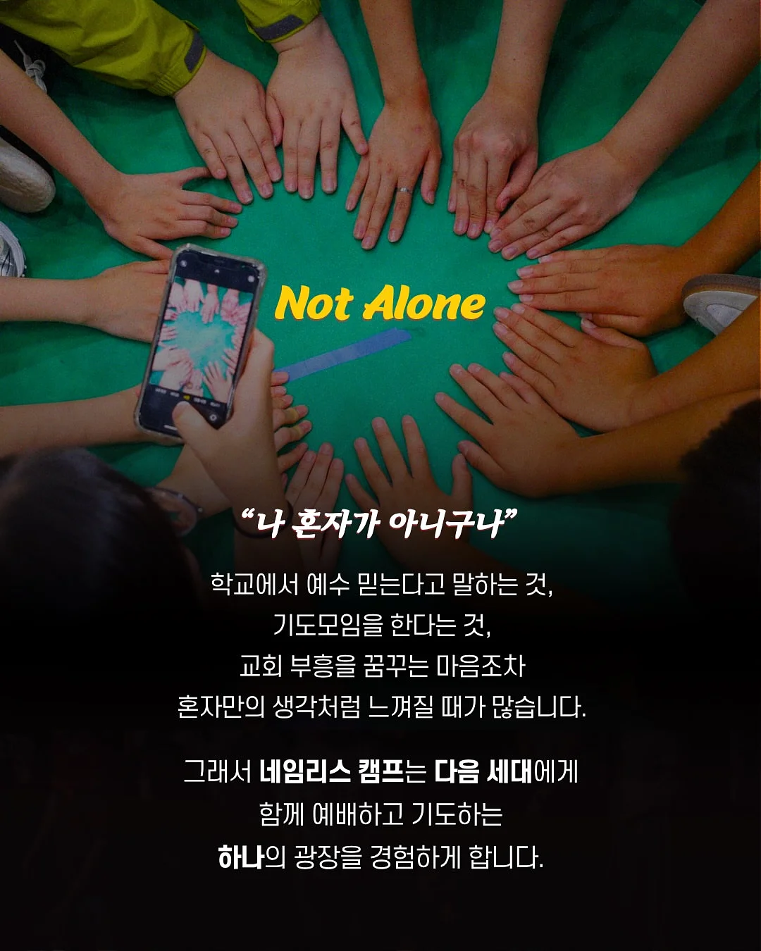치즈 임시보호/입양 4