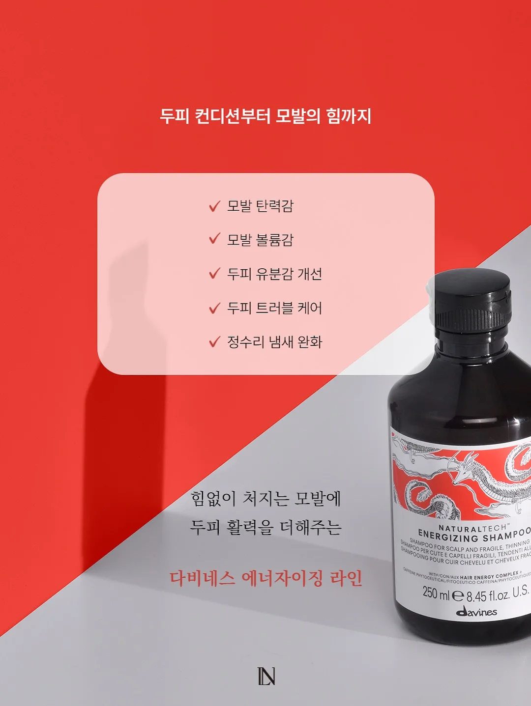 로만쉐이드 11