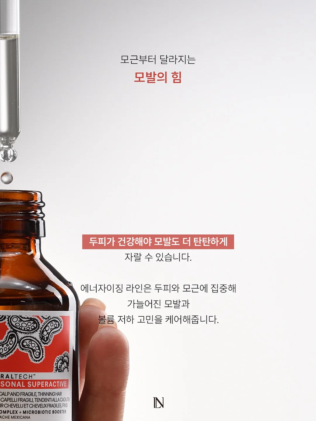 로만쉐이드 12