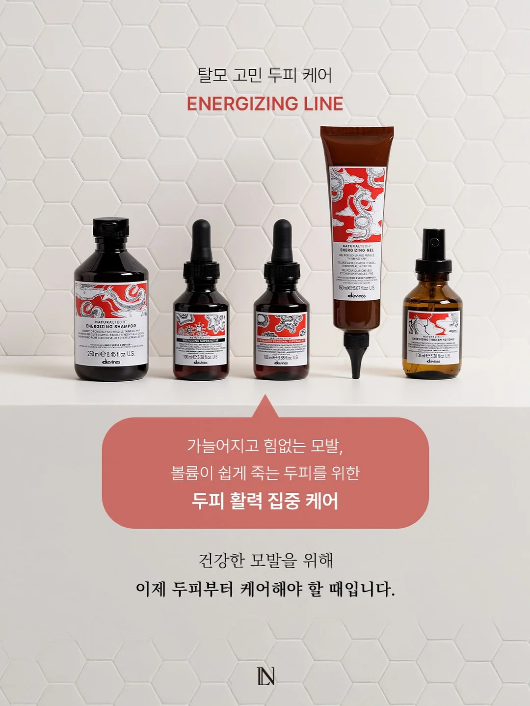 로만쉐이드 14