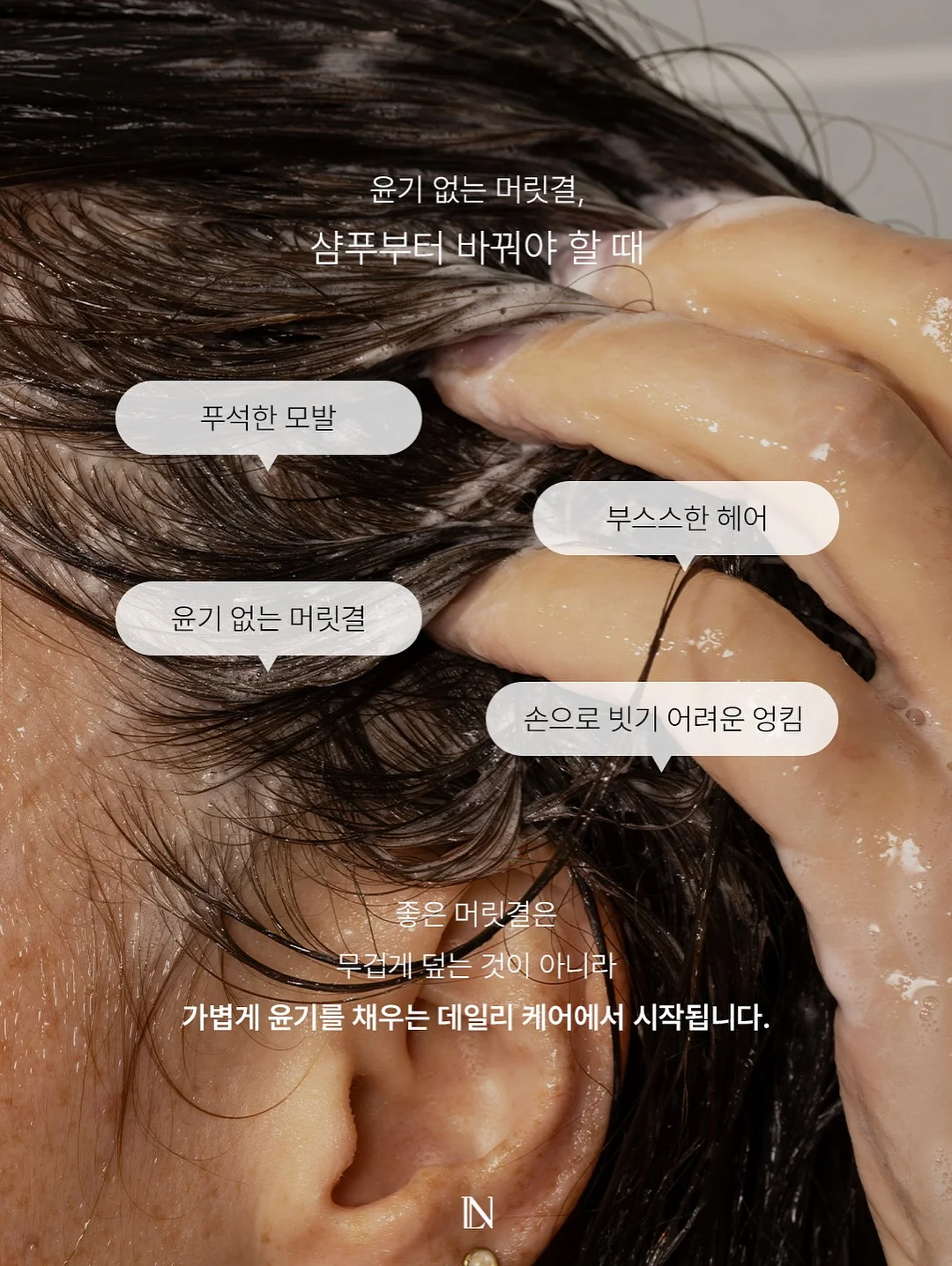로만쉐이드 4