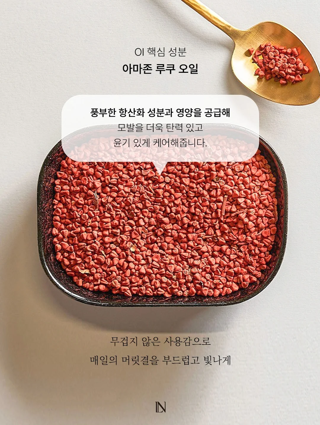 로만쉐이드 5