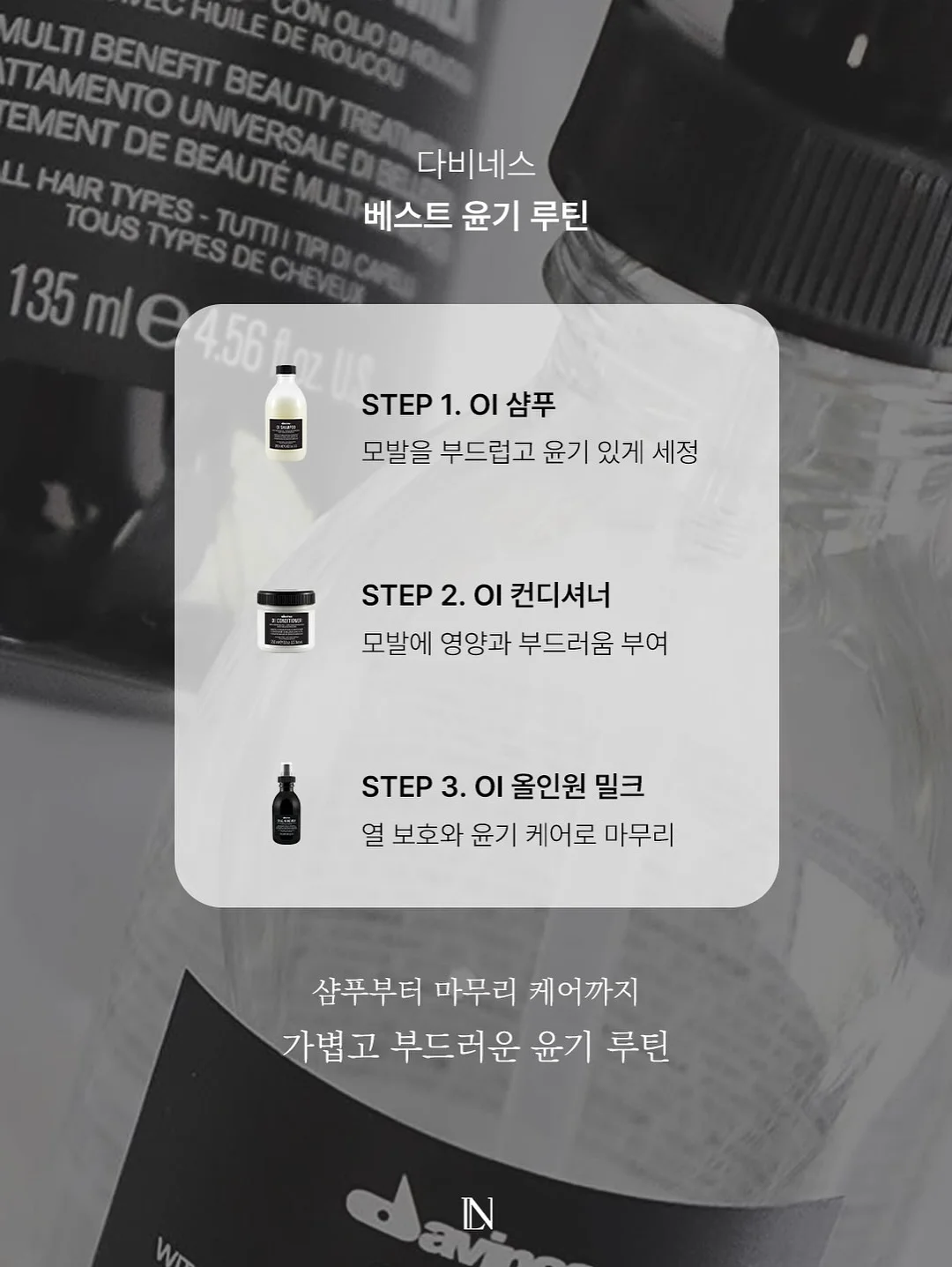 로만쉐이드 6