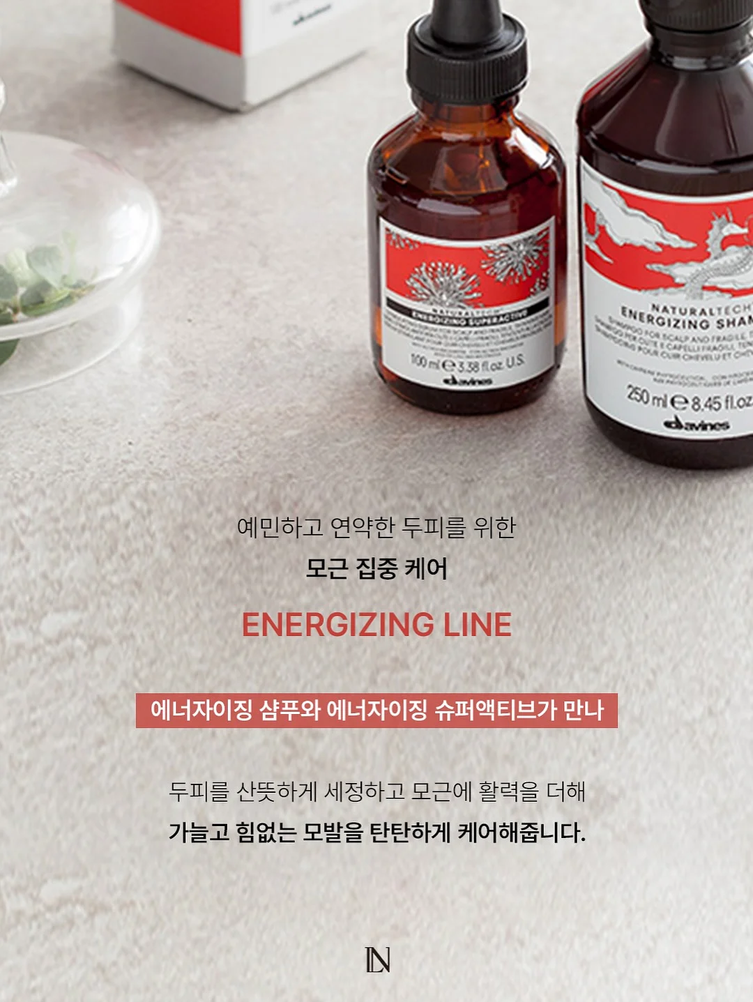 로만쉐이드 10