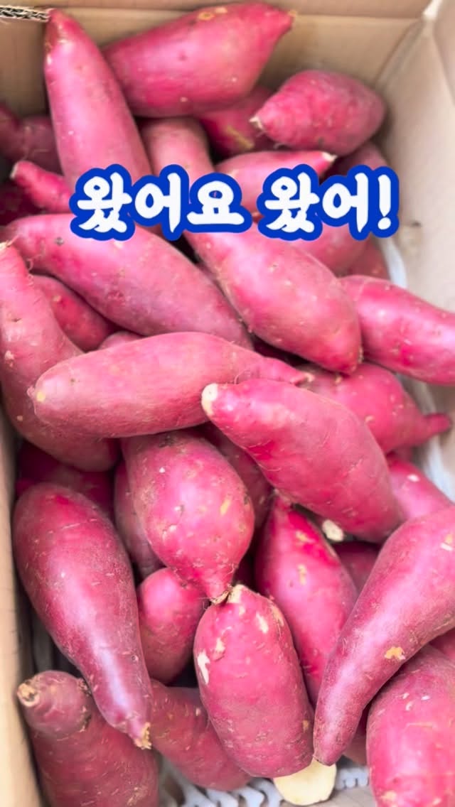 탄탄한 핸드메이드 코트