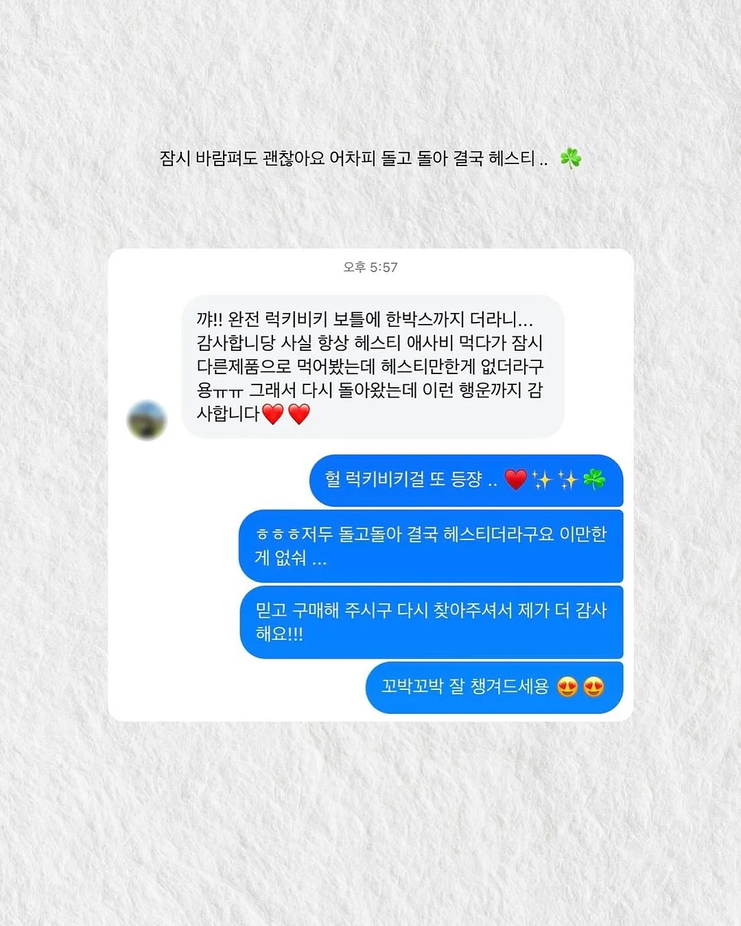 GREEN BUTTERFLY SILVER BUMPER CASE 19