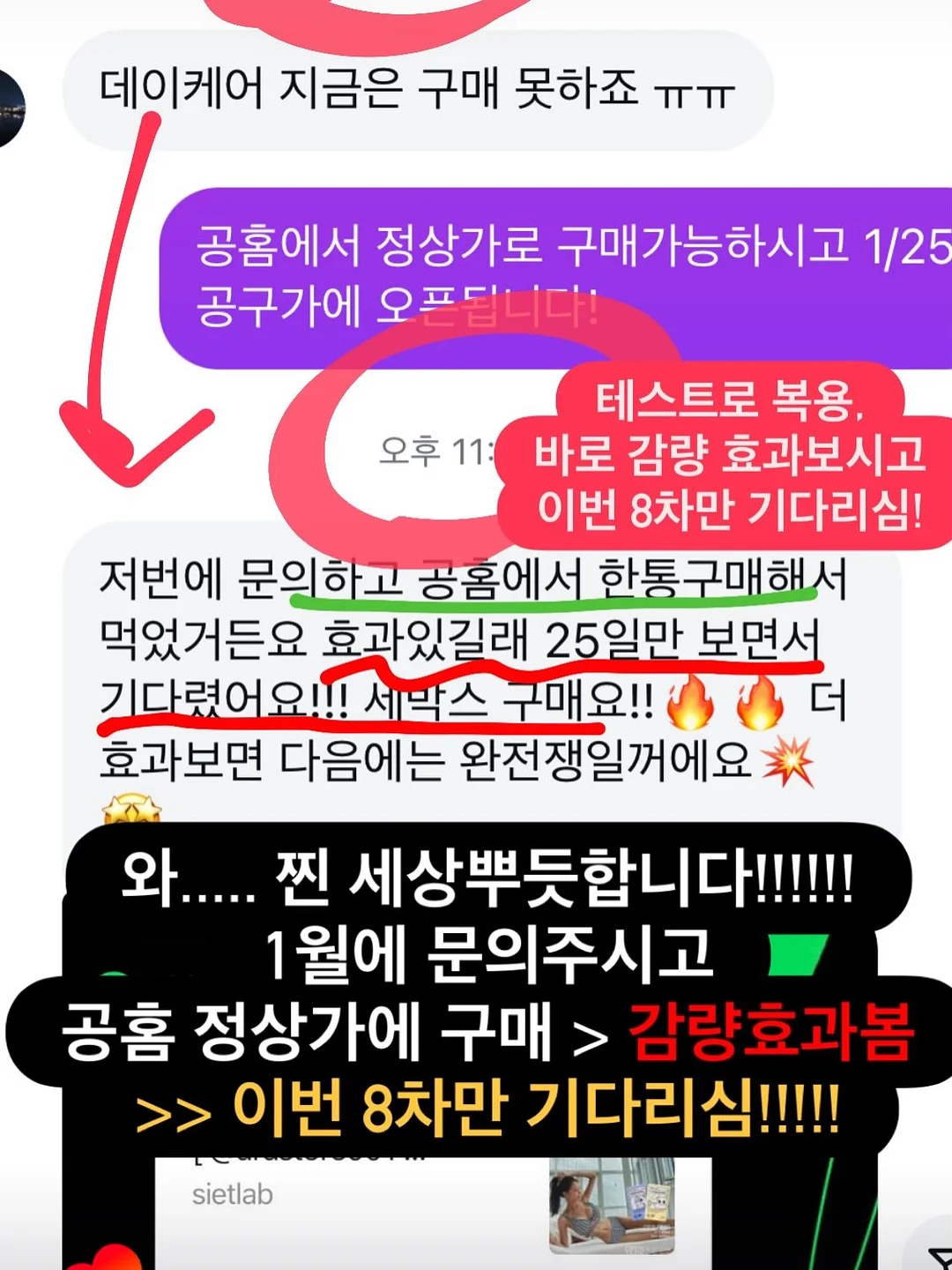 엘라바 슈크림 두상베개 12