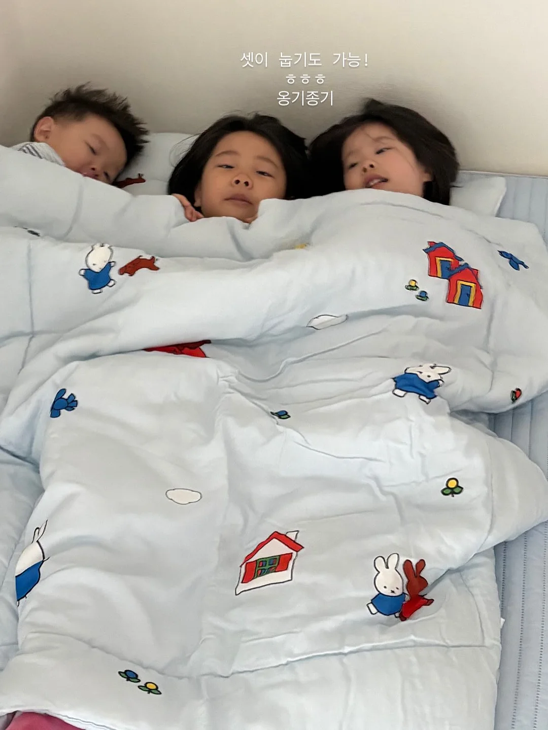 국립부산과학관 연간회원권 8