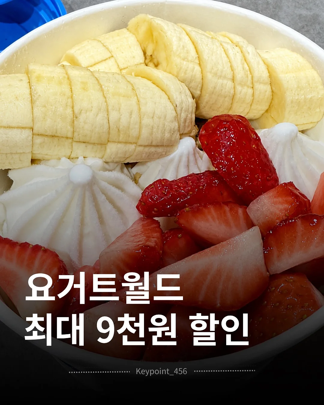 테리팬츠 1