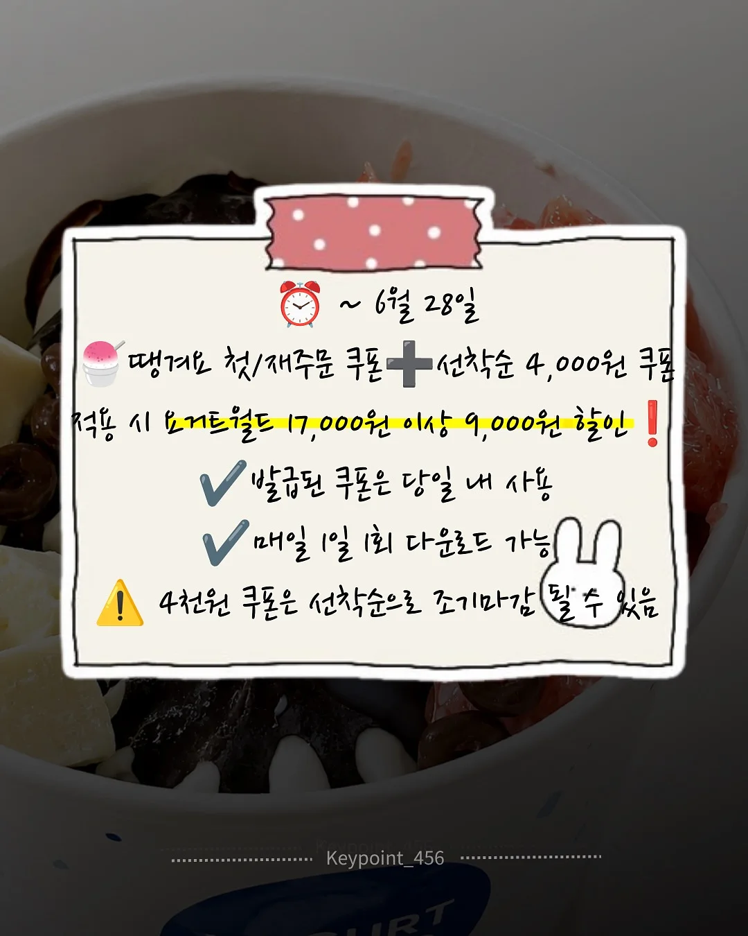 테리팬츠 2