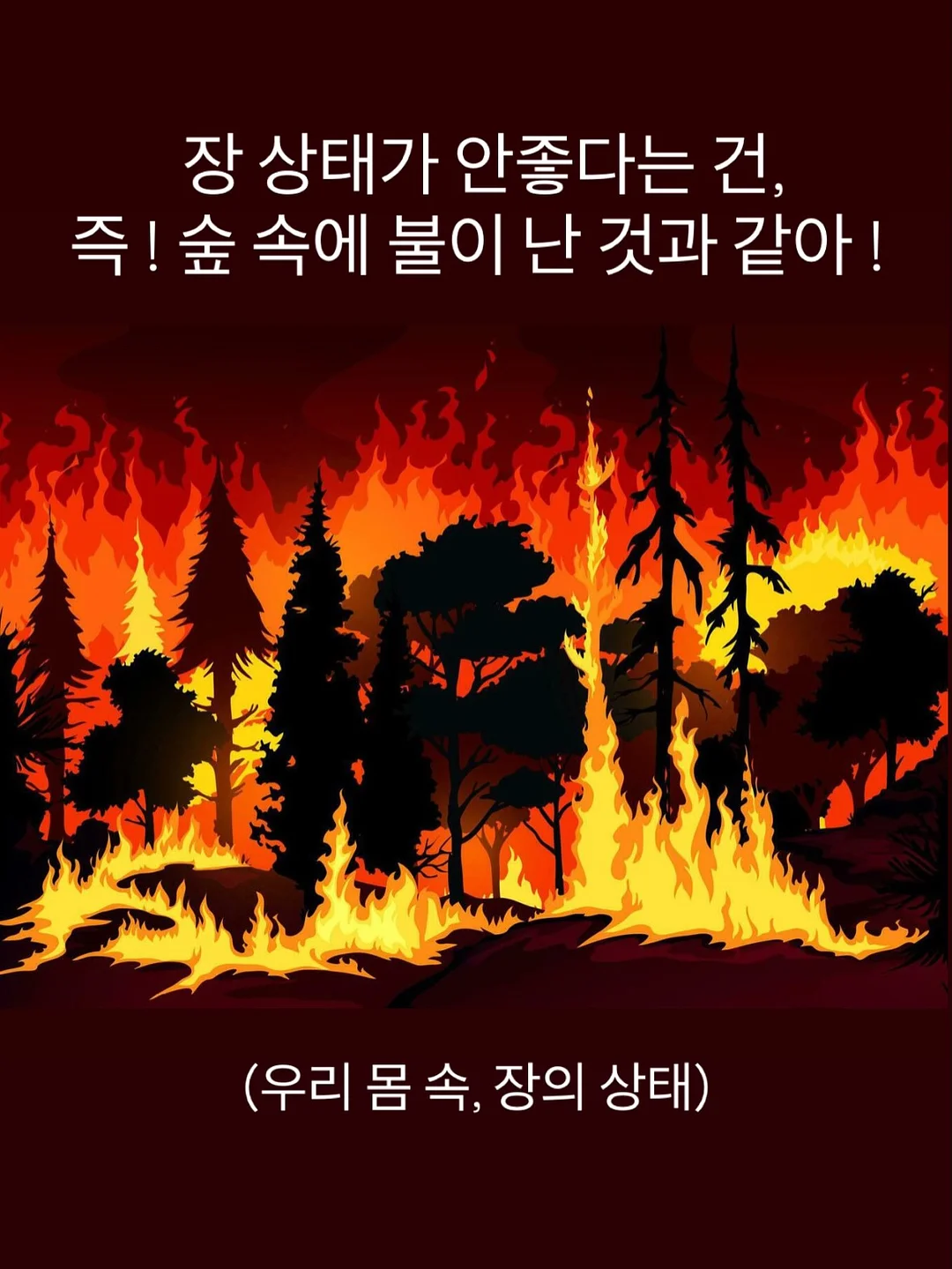 후리스세트 11