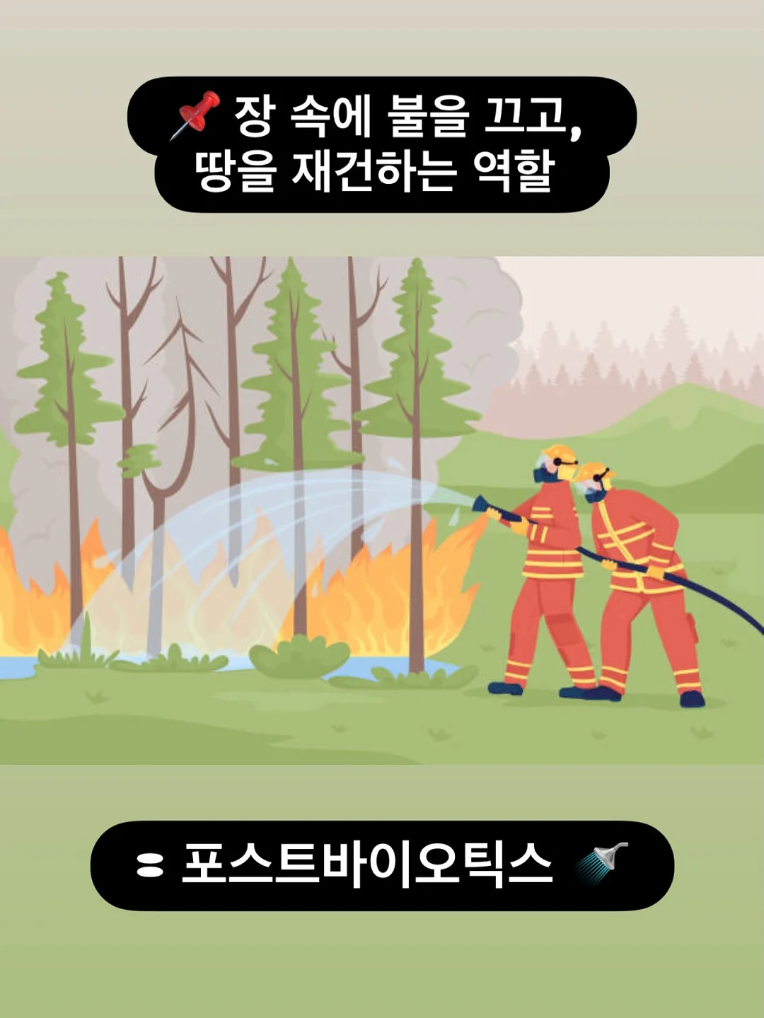 후리스세트 12