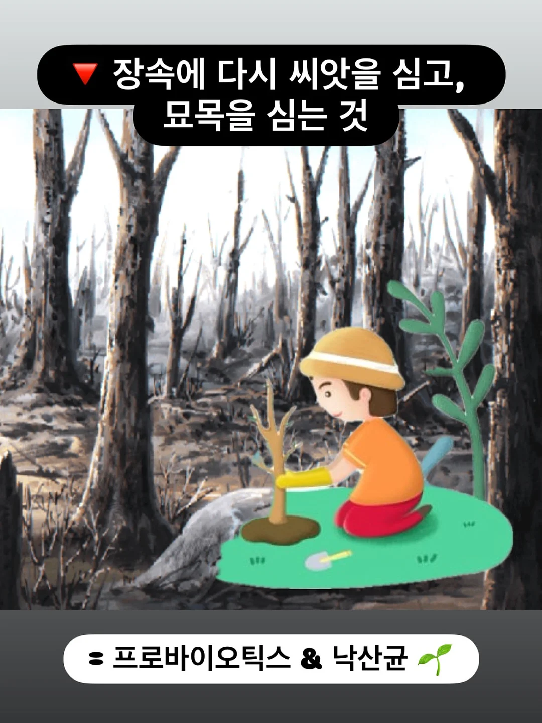 후리스세트 13