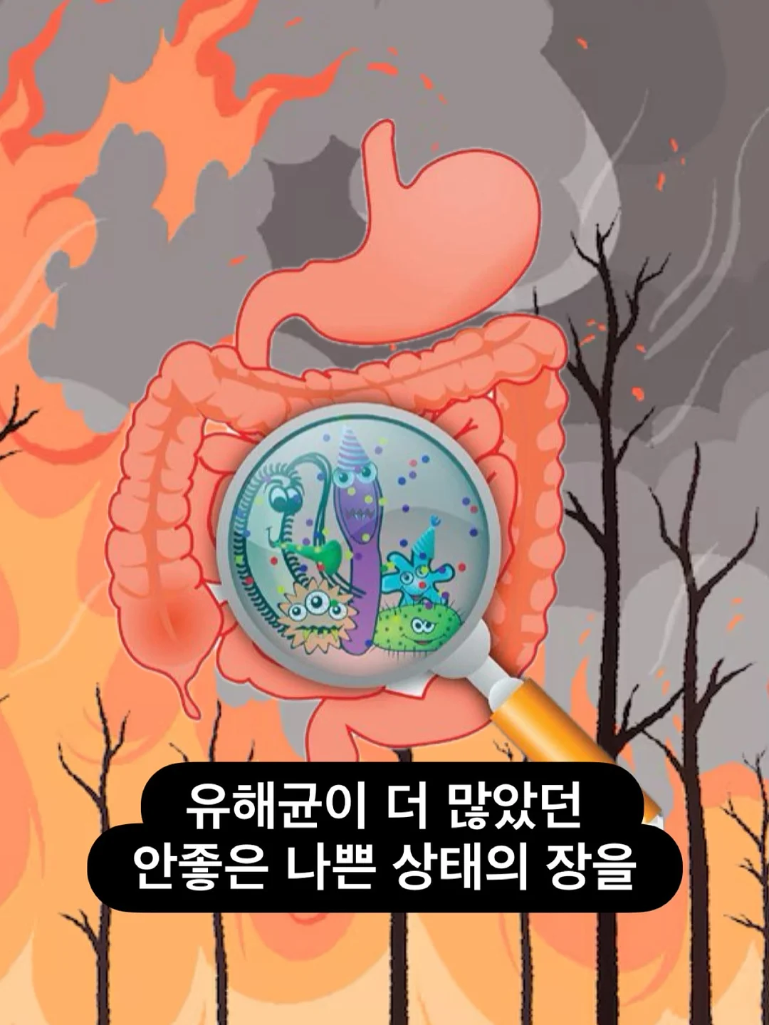 후리스세트 15