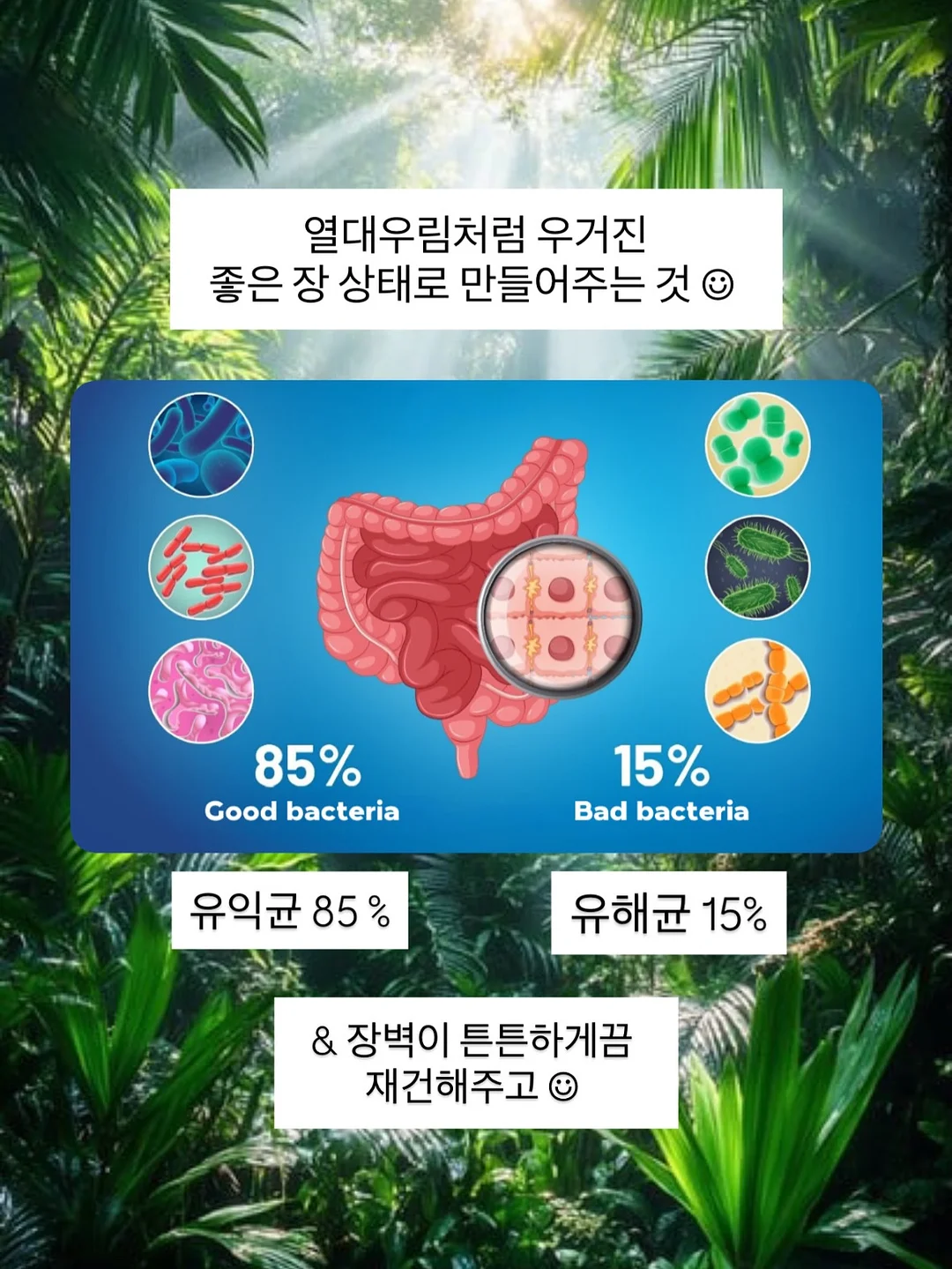 후리스세트 16